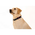 Limited Slip Collar E367