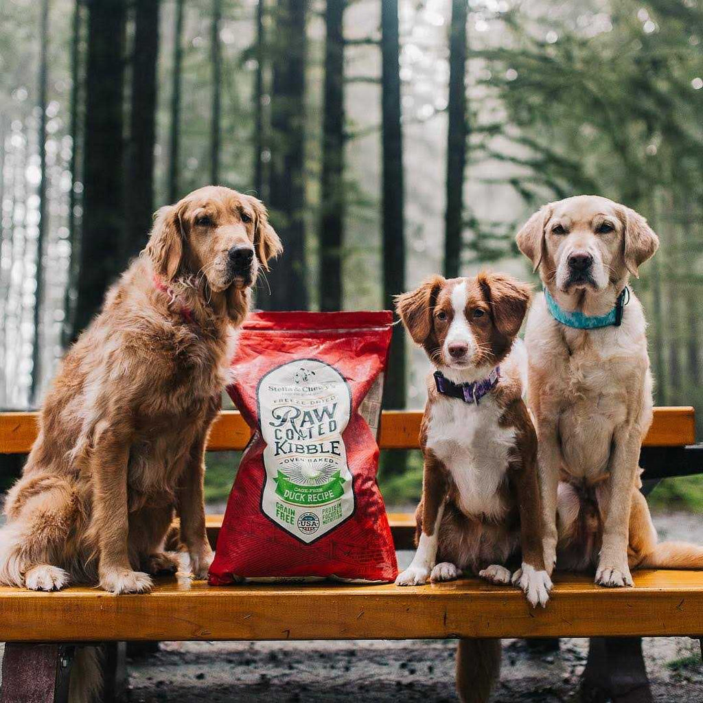 Duck Raw Coated Kibble Dog Food P56670