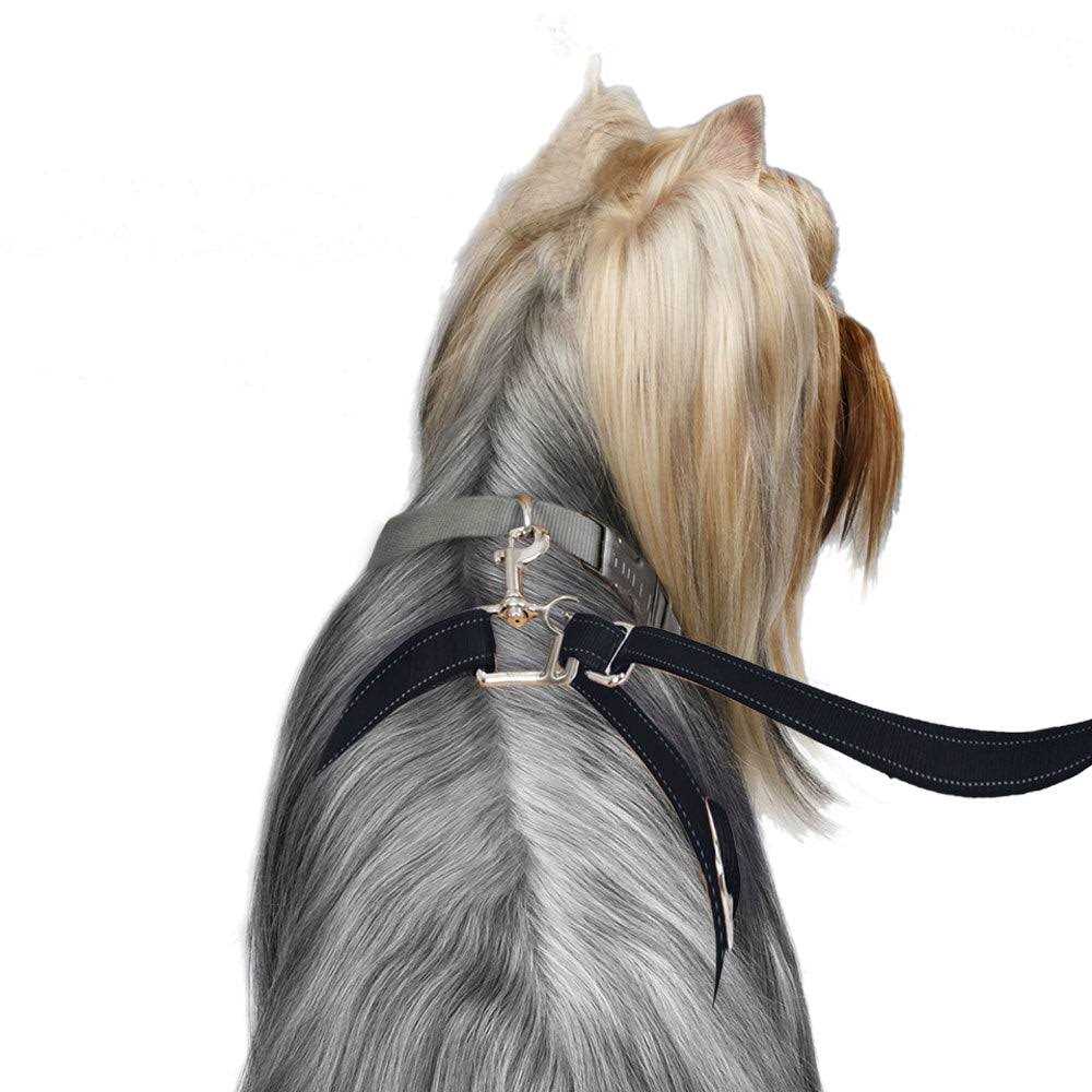 Dog Leash J86579