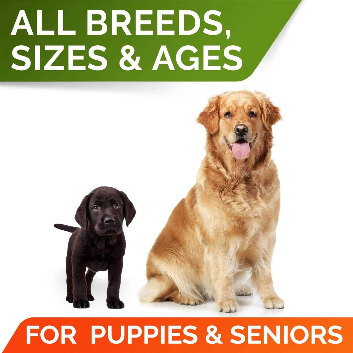 Pumpkin High Fiber Digestive Supplement for Dogs H97857