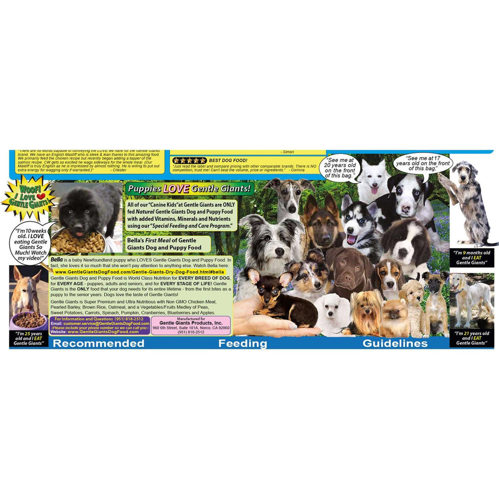 Chicken Dry Dog Food P17949