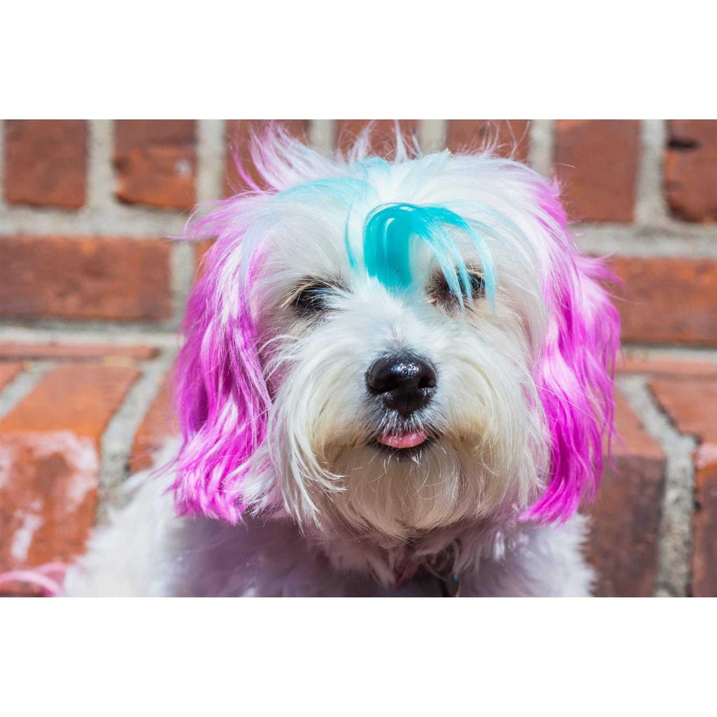 Semi Perm Coat Color Shampoo for Dogs Y408643