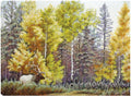 Canvas Art 32x24 X25387