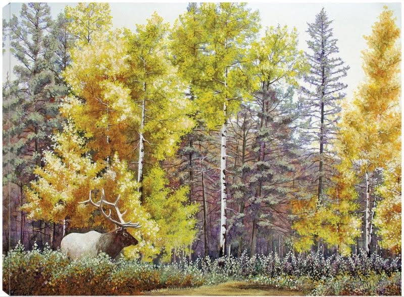 Canvas Art 32x24 X25387