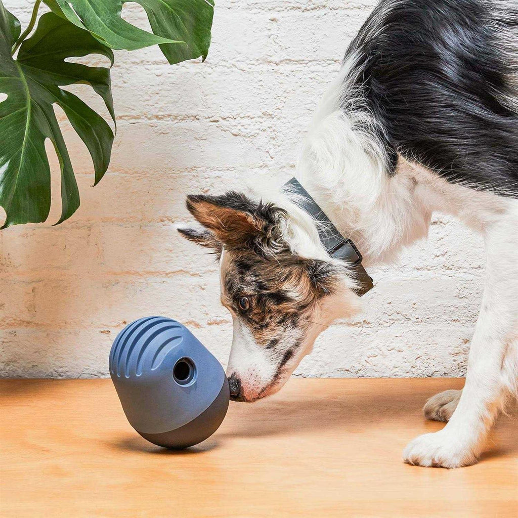 Dog Toy P922