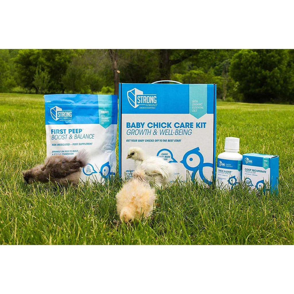 Baby Chick Care Kit P782