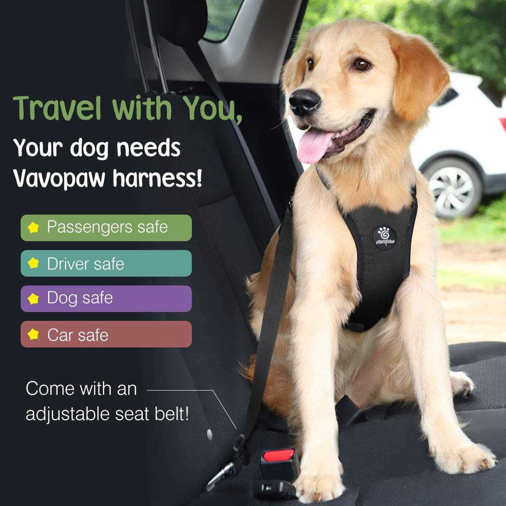 Adjustable Padded Mesh Dog Safety Vest Harness E404720