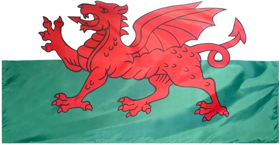 Wales Flag 4x6 ft J961949