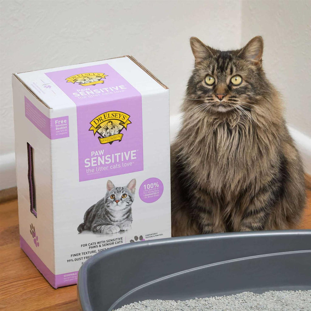 Sensitive Clumping Multi-Cat Clay Litter Y693803