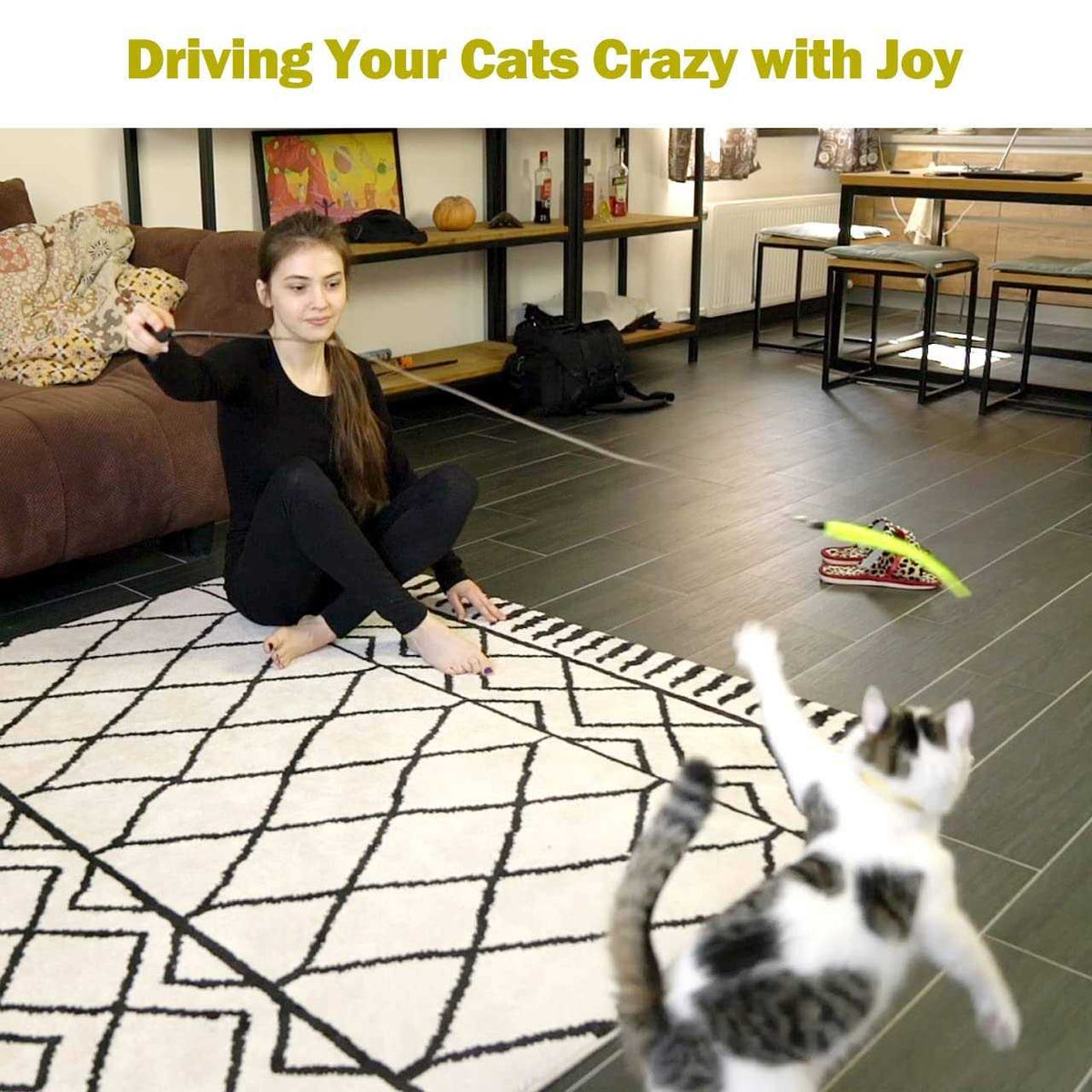 Interactive Cat Toy 2PCS Retractable Wand Toy and 9PCS Feather Toys Refills D221