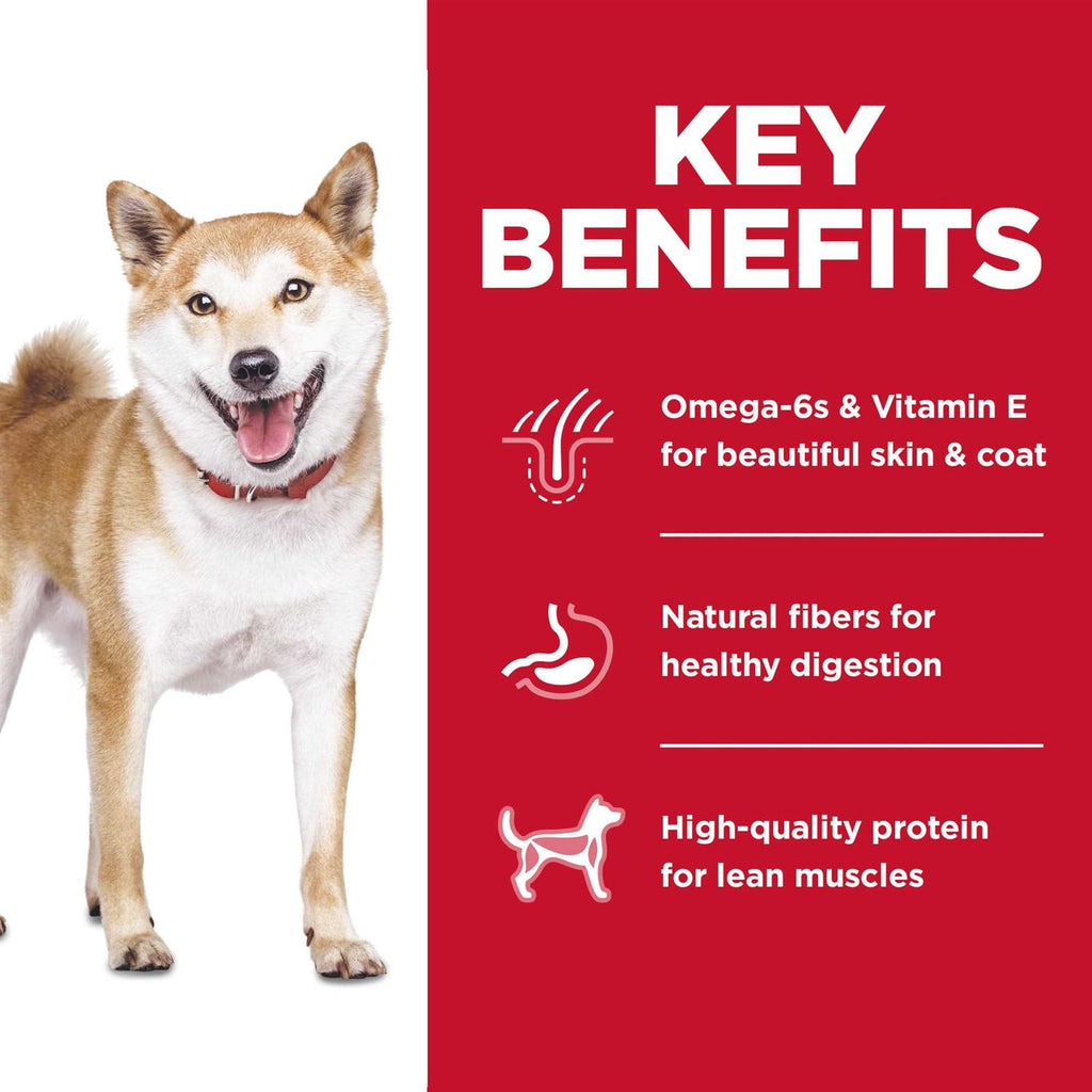 Chicken Dry Dog Food W789
