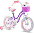 Blue 16 In. Kids Bike with Training Wheels and Basket F956211