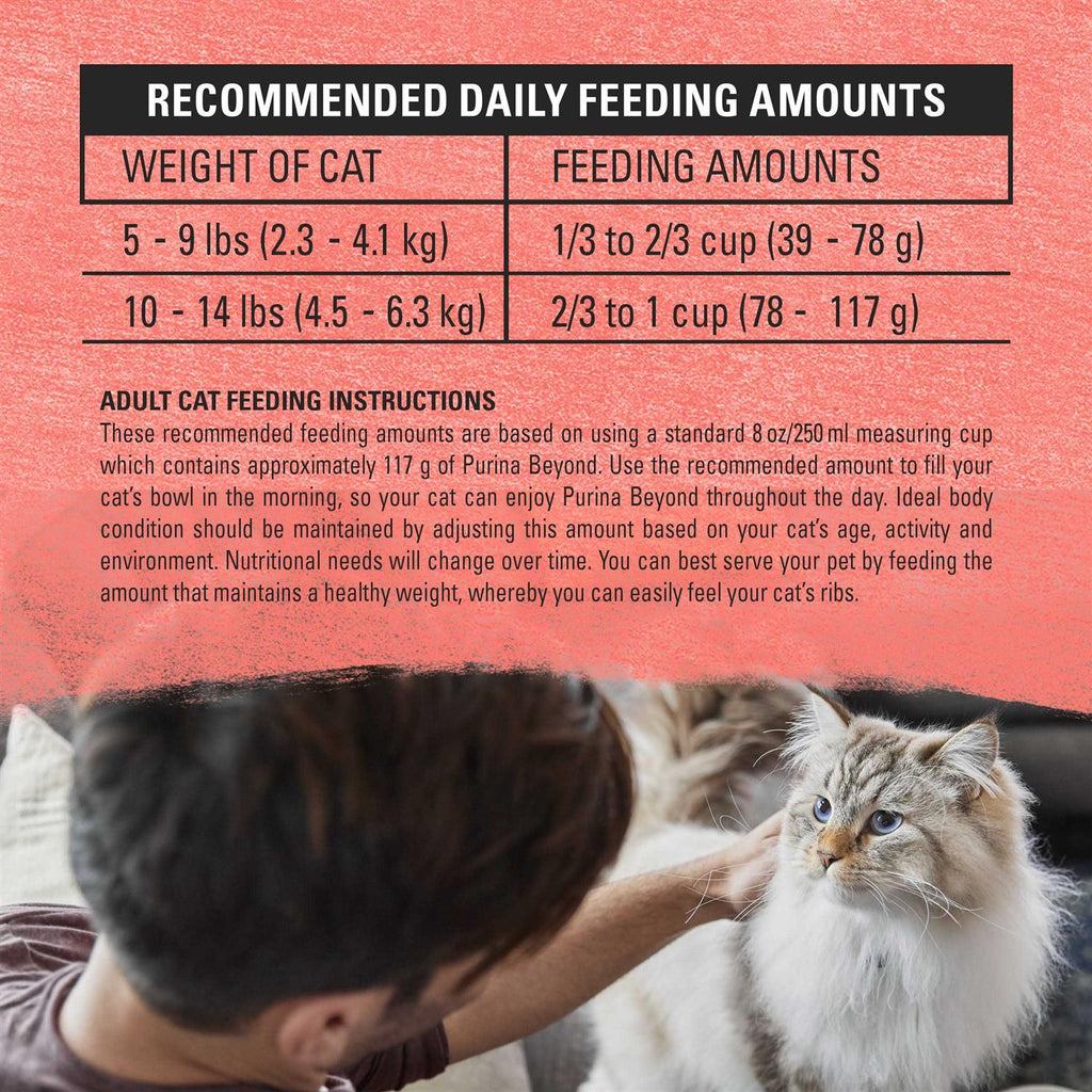 Cat Dry Food A605