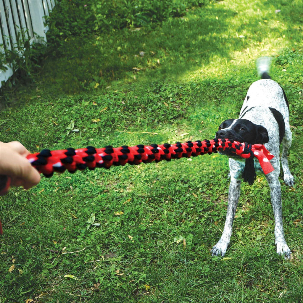 Rope Dog Toy D982774