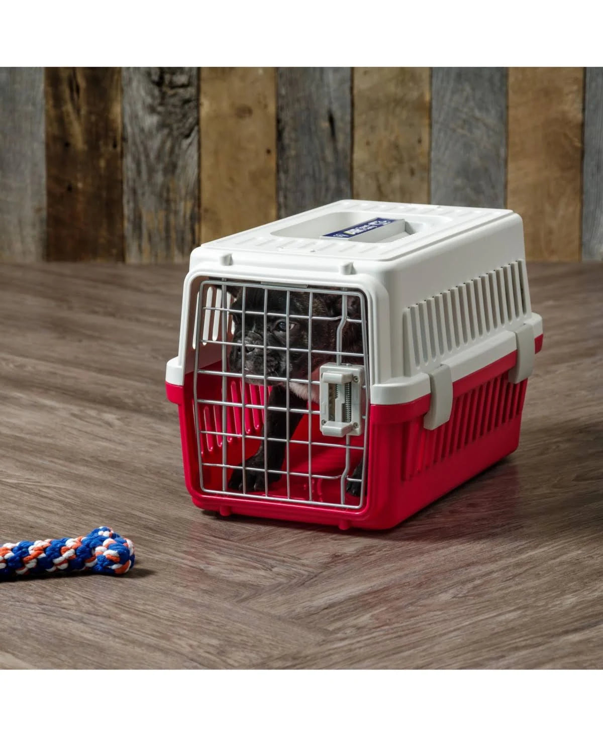Red Extra Small Pet Travel Carrier H162033