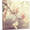 Photographic Print Canvas 20x22 F27277