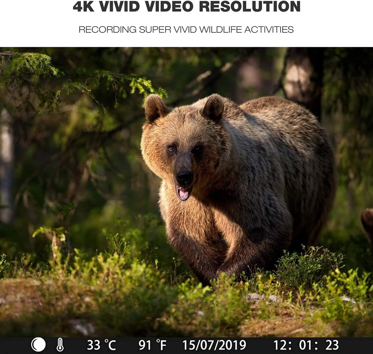 4K Trail Camera with 940nm No Glow Night Vision O130