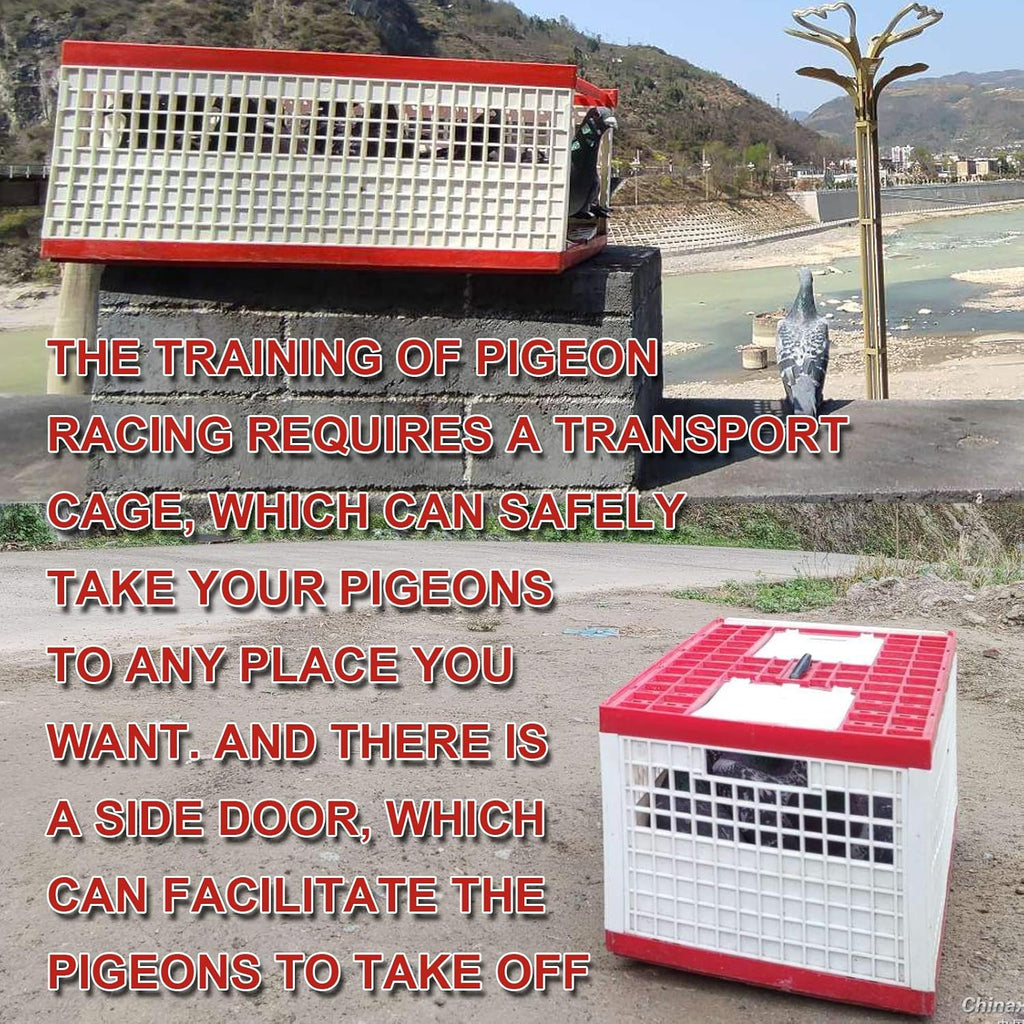 Plastic Pigeon Cage Portable Foldable 24x12x9in Green J373764