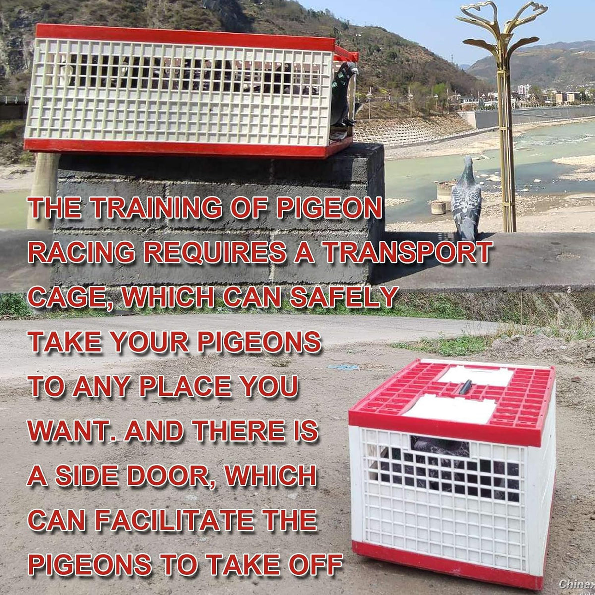Plastic Pigeon Cage Portable Foldable 24x12x9in Green J373764