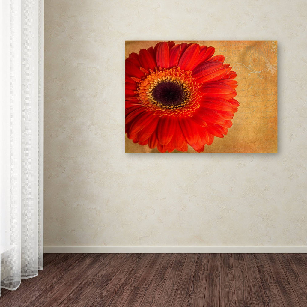 Canvas F6759