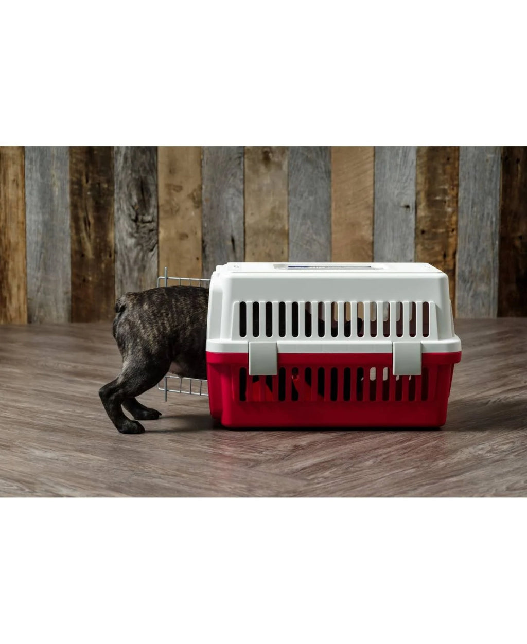 Red Extra Small Pet Travel Carrier H162033