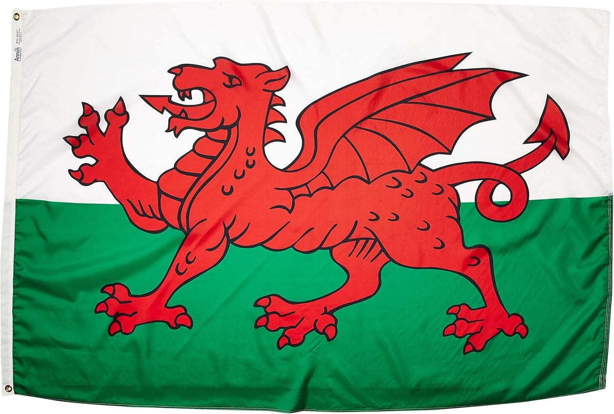 Wales Flag 4x6 ft J961949