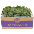 Preserved Reindeer Moss 3 lb Basil M64304