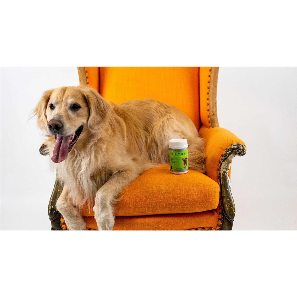 Mobility Chews for Dogs Y2140