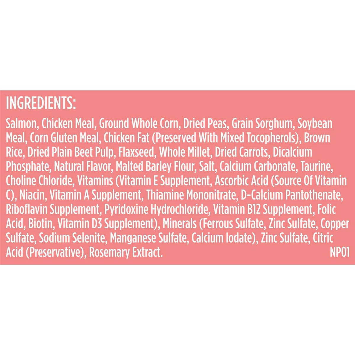 Salmon Veggies & Brown Recipe Dry Dog Food F684