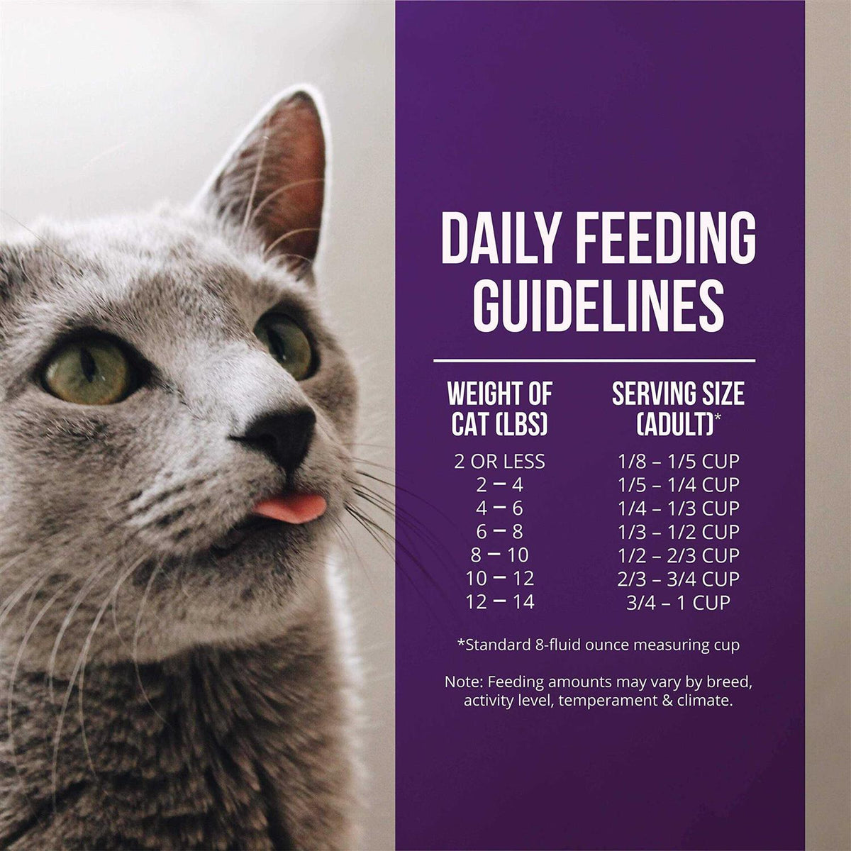 Quail & Duck Meal Dry Cat Food A65219