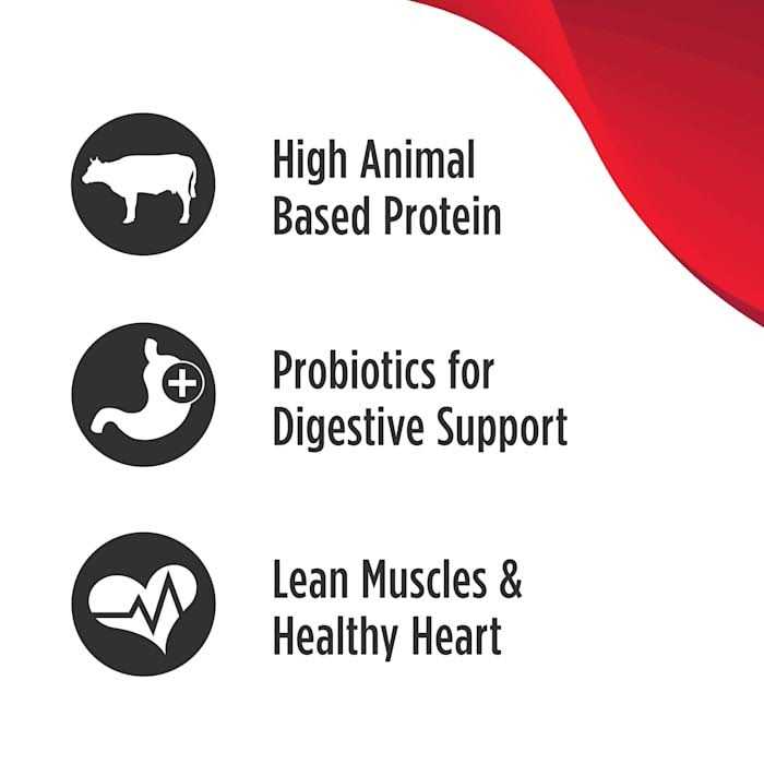 High-Protein Beef Adult Dry Dog Food H591