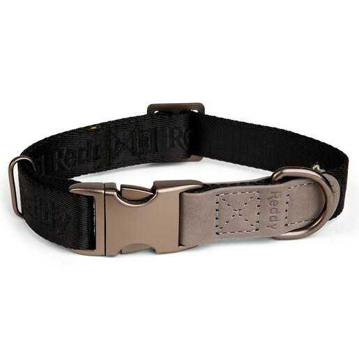 Dog Collar H775714