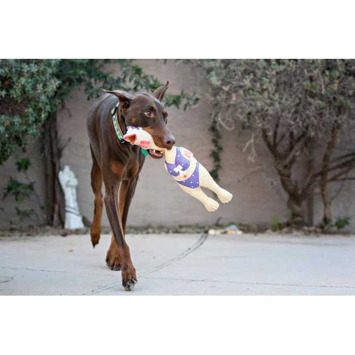 Dog Toy Y35613