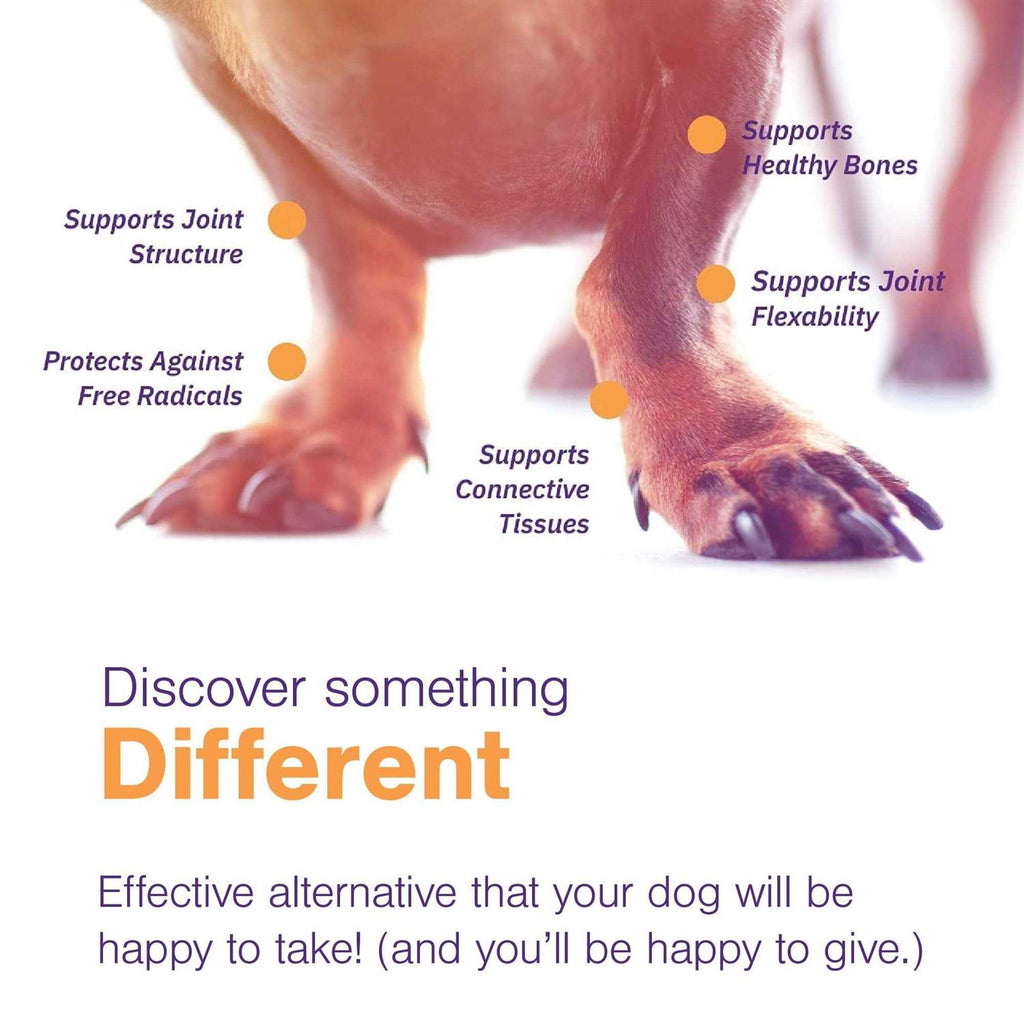 Joint Support Soft Chews for Dogs O655017
