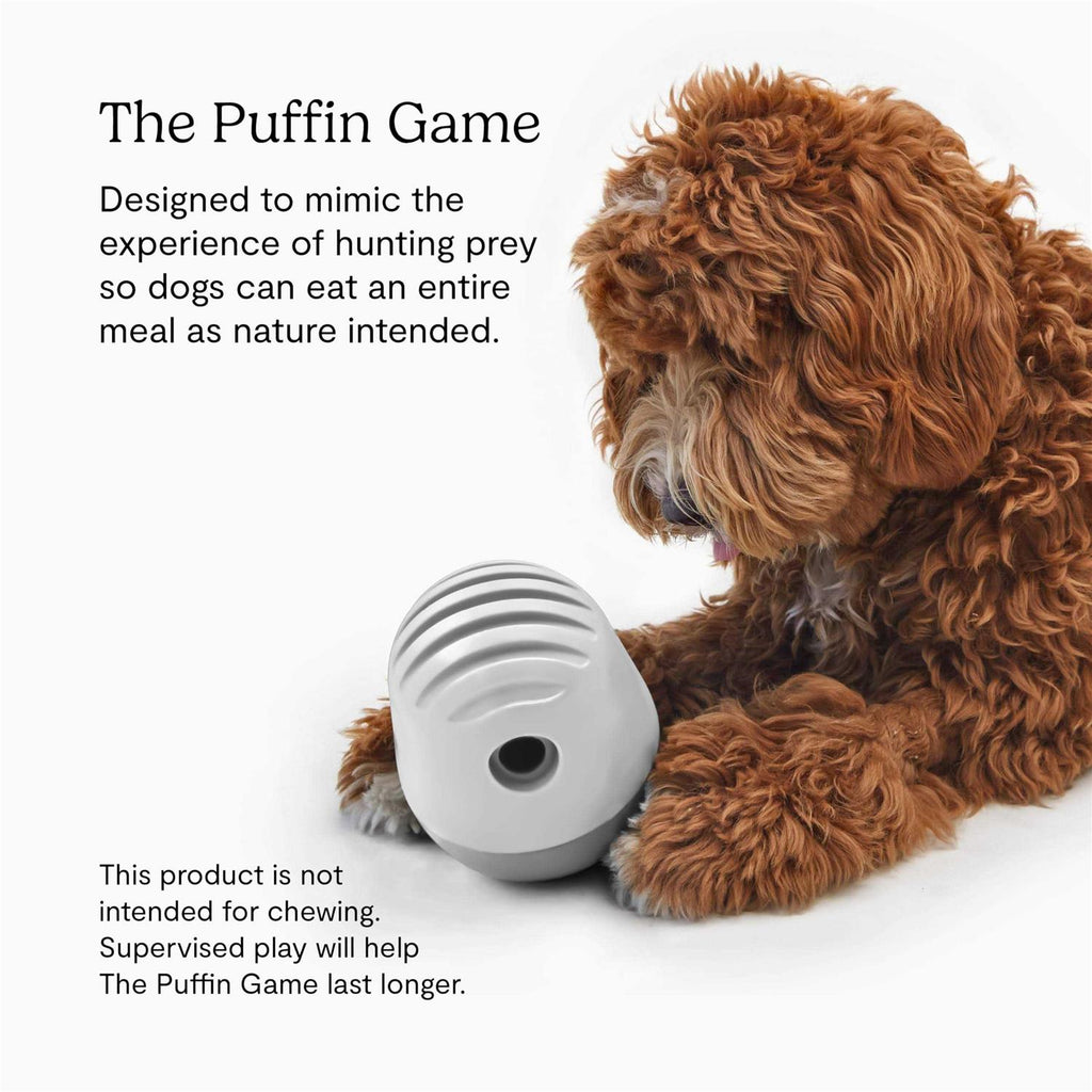 Dog Toy P922