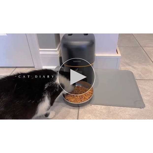 Automatic Cat Feeder 68oz Cat Food Dispenser F589