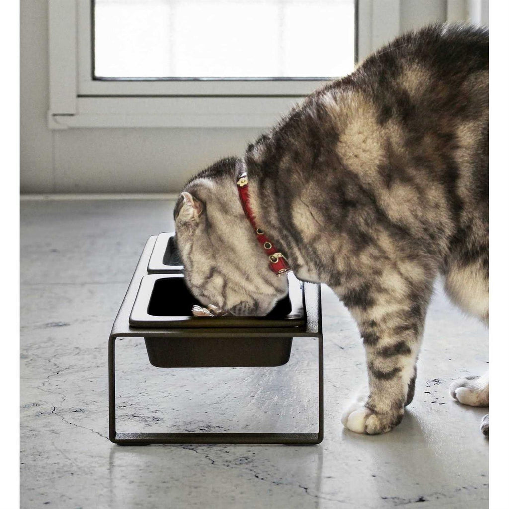 Pet Food Bowl U60142