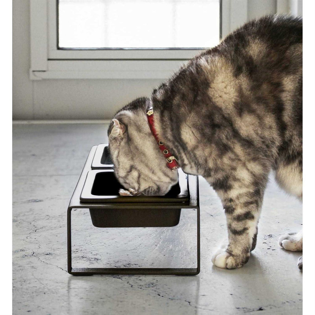 Pet Food Bowl U60142