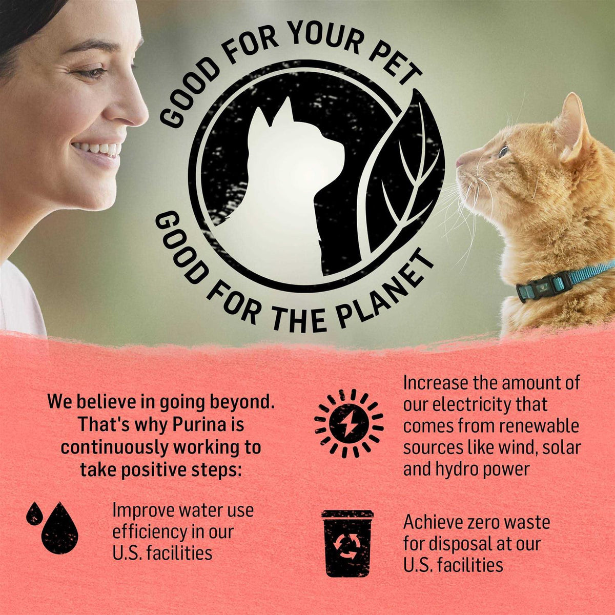 Cat Dry Food A605