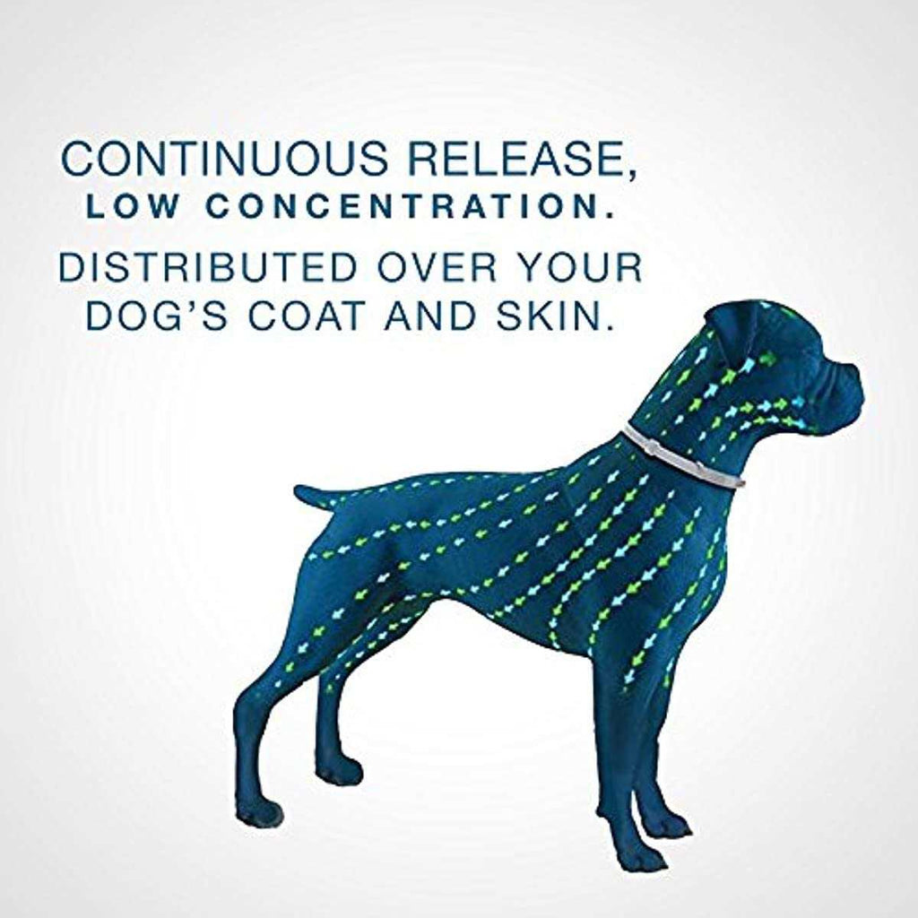 Flea and Tick Collar for Dogs O97887