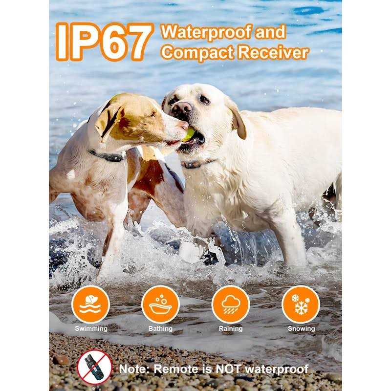 Dog Shock Collar 2 Dogs 3300 ft Waterproof Rechargeable Remote N418942