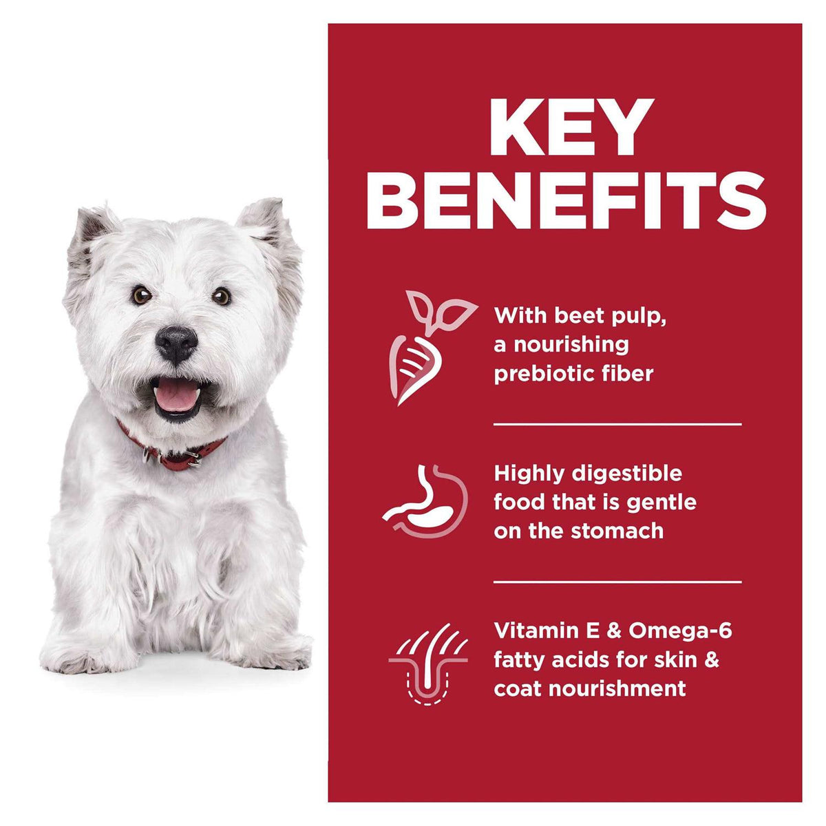 Sensitive Stomach & Skin Small Bites Dry Dog Food T631114