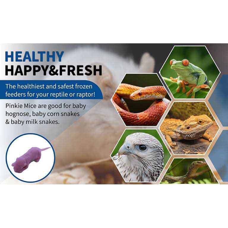 Frozen Mice Feeders Combo Pack, 150 Count A993