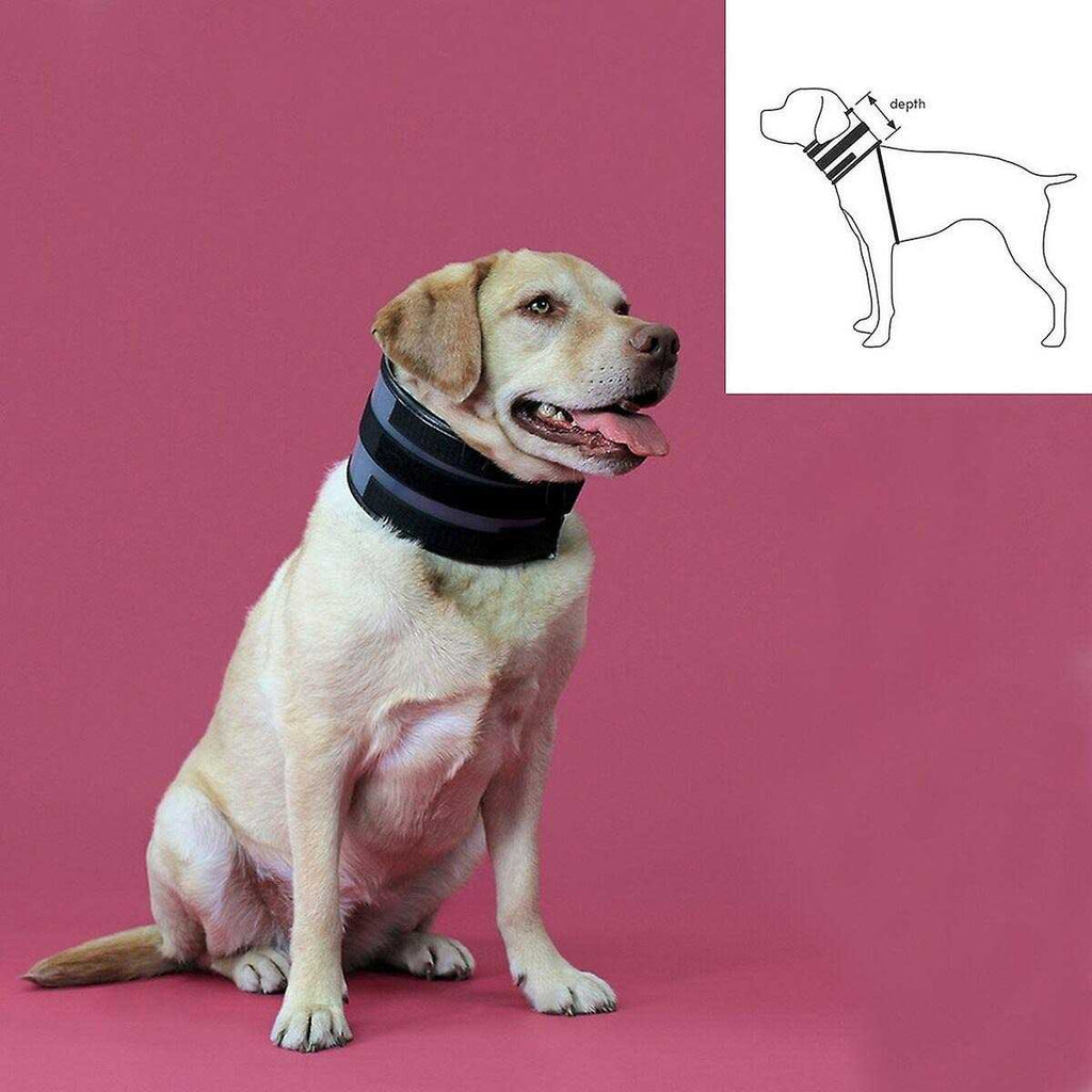 Cervical Collar A284