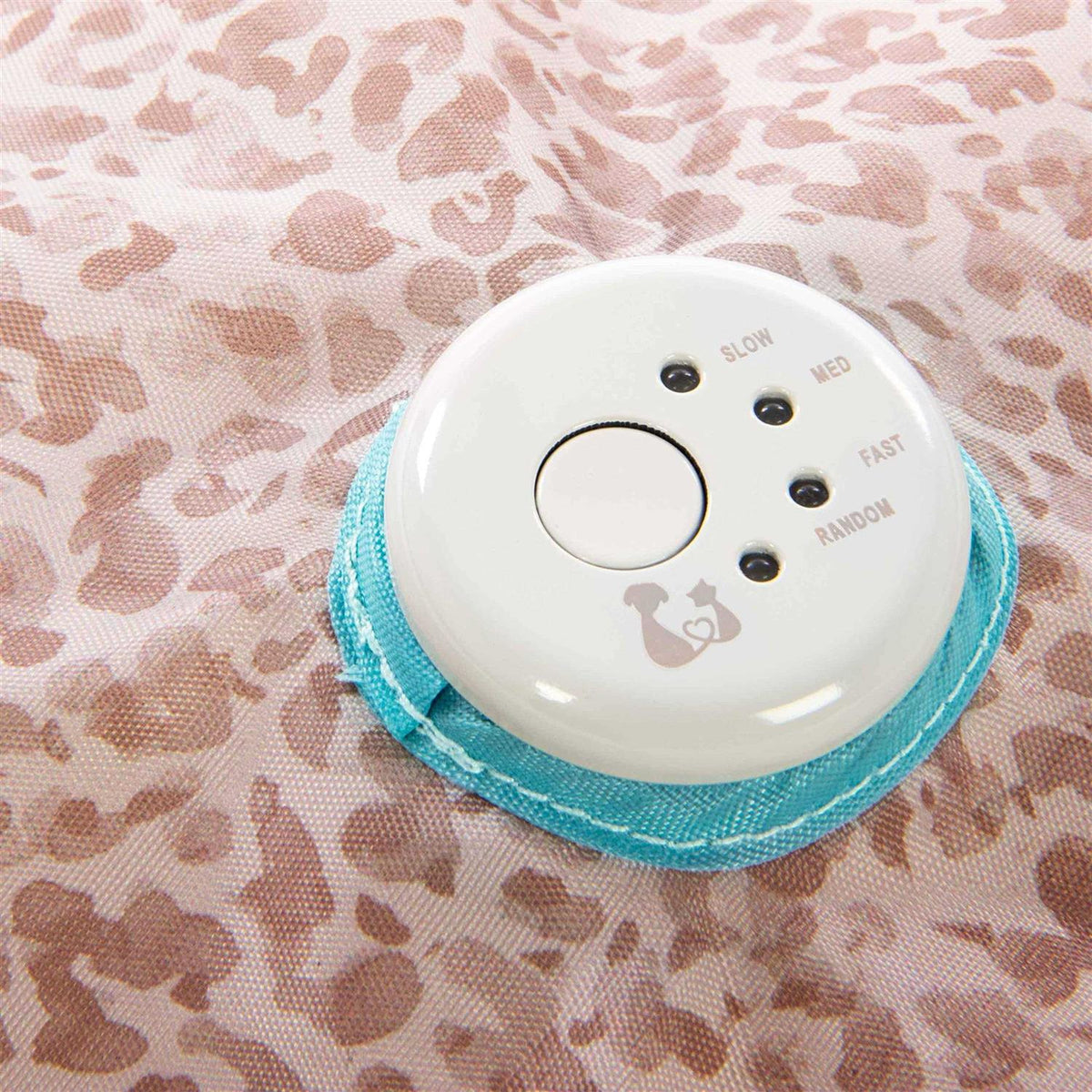 Cat Toy B827655