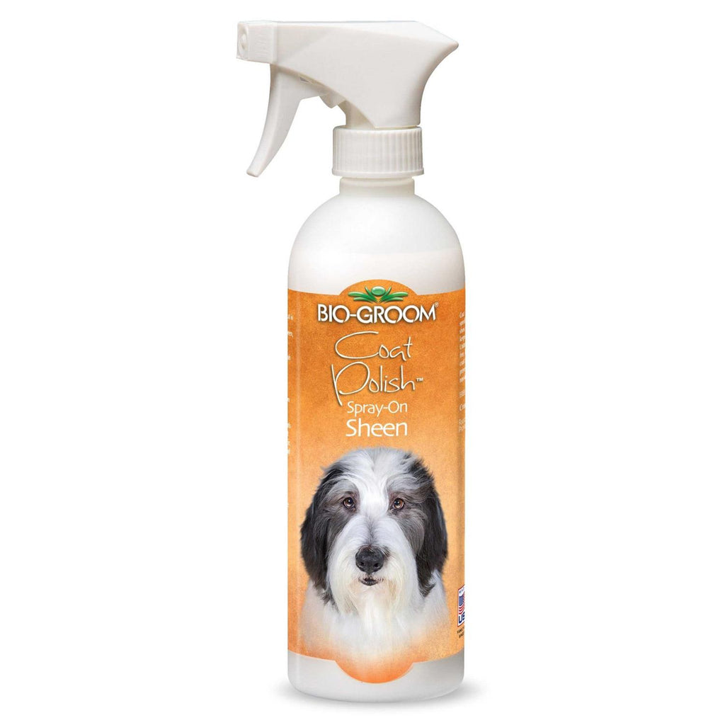 Coat Polish Spray M3702