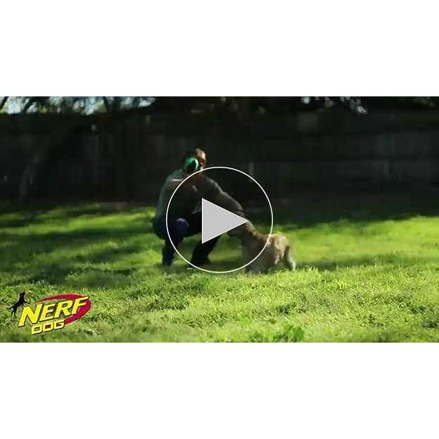 Dog Ball Dog Toy U885513