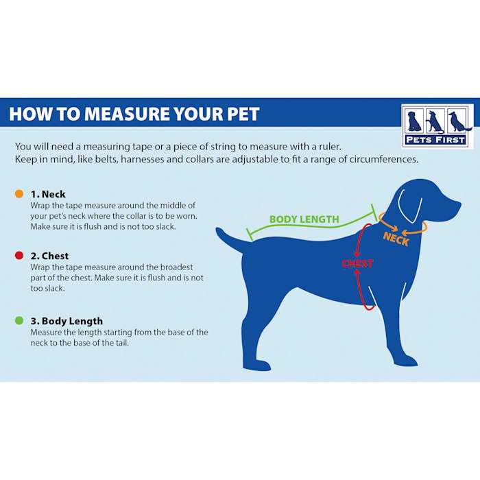 Dog Collar Q847