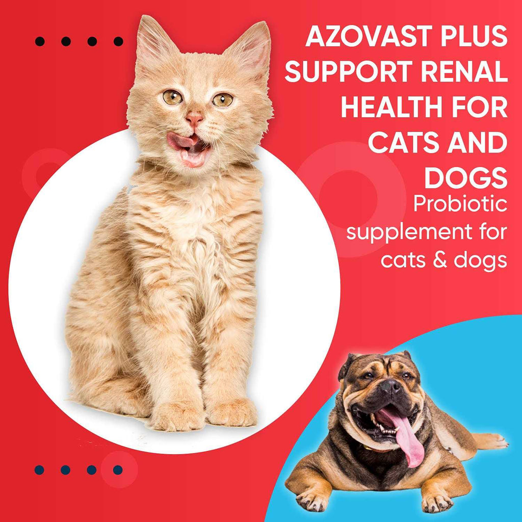 Kidney Health Supplement for Dogs & Cats Oral Paste Z991