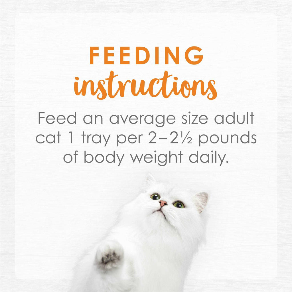Cat Food U22498